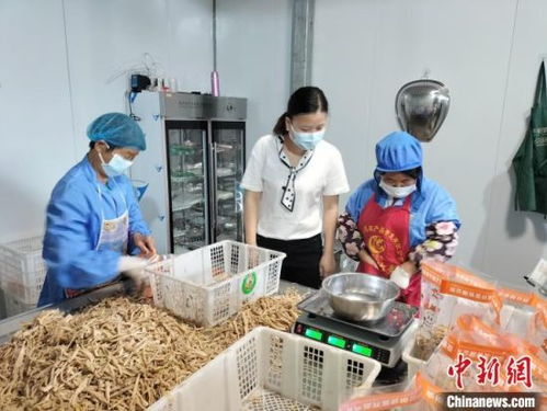 红土地上振兴路 乡贤助力小竹笋渐成大产业