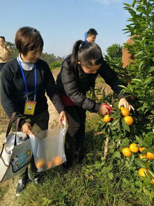 积极开展安全生产大检查 确保春节期间盐城农产品质量安全