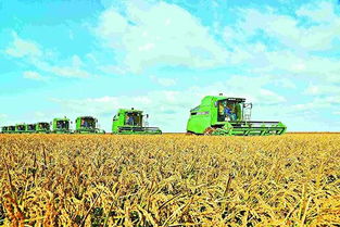 11项新举措出台 盐城供销社助力小农户对接大市场，拓宽农产品销路