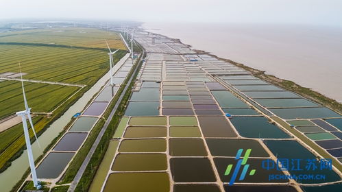 射阳以真学促实干，办好为民实事，助力盐城农产品高质量发展