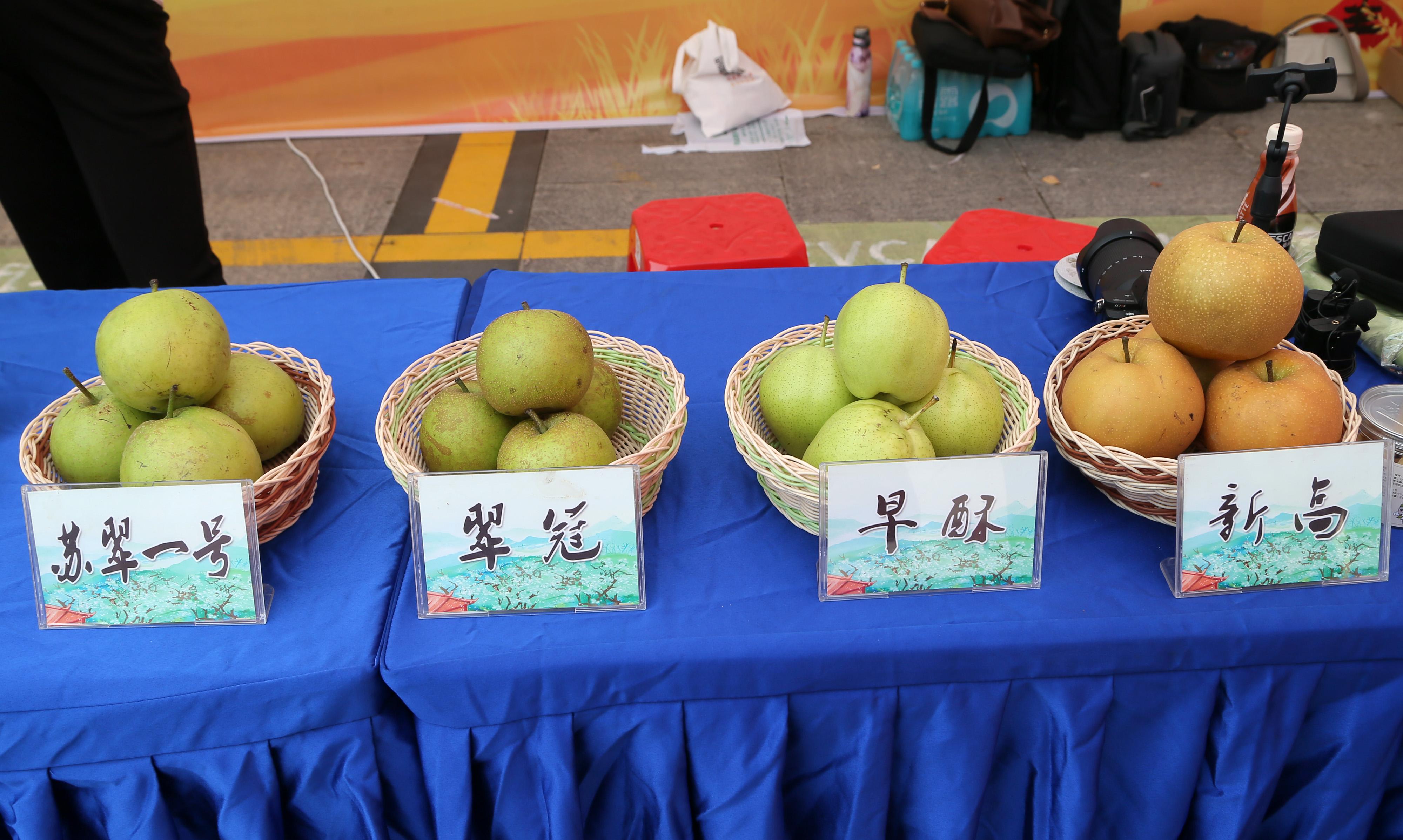 盐城大丰金秋特色农产品——庆祝第五个中国农民丰收节