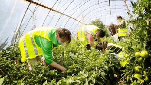 消费扶贫月畅通农产品销售渠道，盐城特色农产品香飘四方