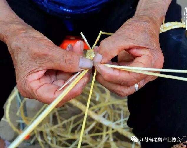 盐城高新区盐渎街道 冬季农业管理与农产品安全双抓双促